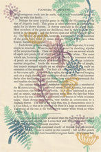 Load image into Gallery viewer, Ferns vintage book page print (2 colour options)