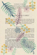 Load image into Gallery viewer, Folium vintage book page print (2 colour options)
