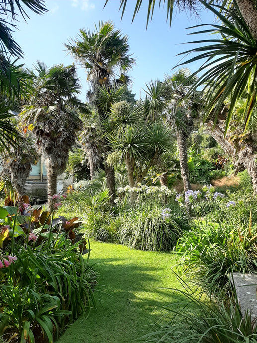 Ventnor Botanic Gardens, Isle of Wight