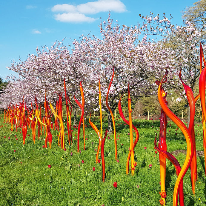 Reflections On Nature – Dale Chihuly at Kew Gardens