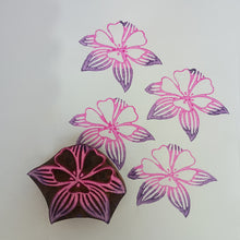 Load image into Gallery viewer, Physic Garden Wood Blocks Set

