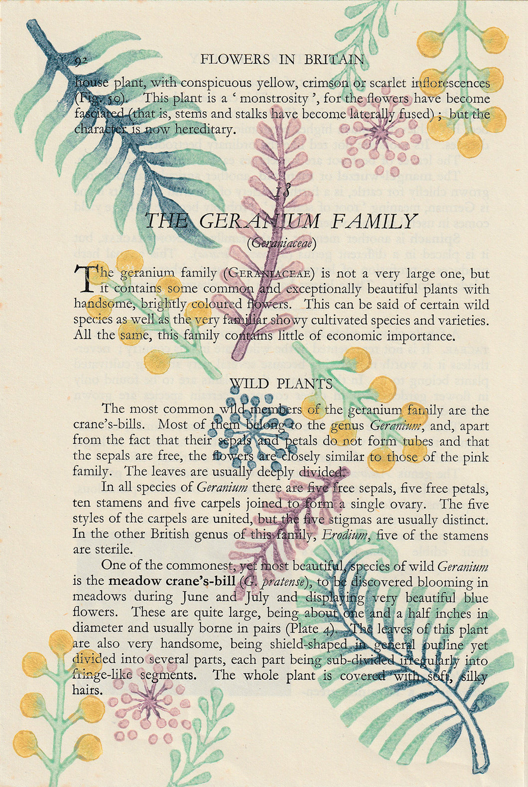 Folium vintage book page print (2 colour options)