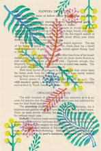 Load image into Gallery viewer, Folium vintage book page print (2 colour options)
