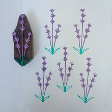 Load image into Gallery viewer, Physic Garden Wood Blocks Set
