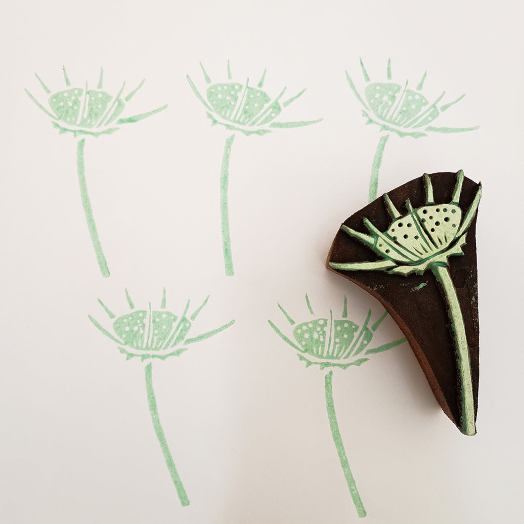 Scabiosa seedhead wood block