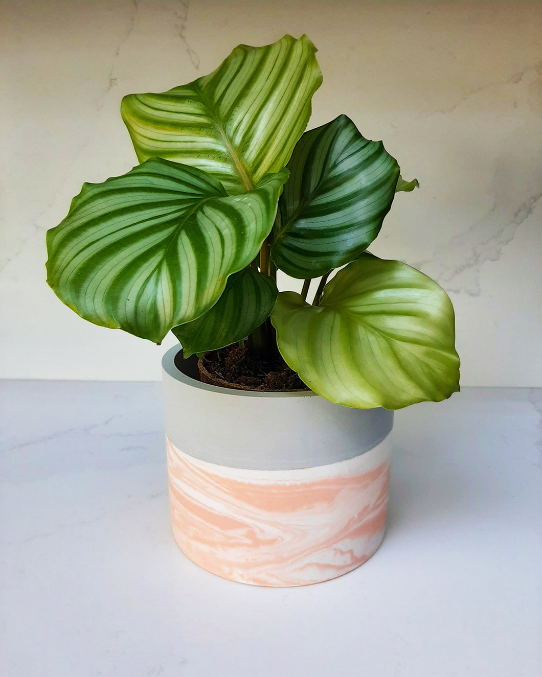 Orange marbled plant pot holder